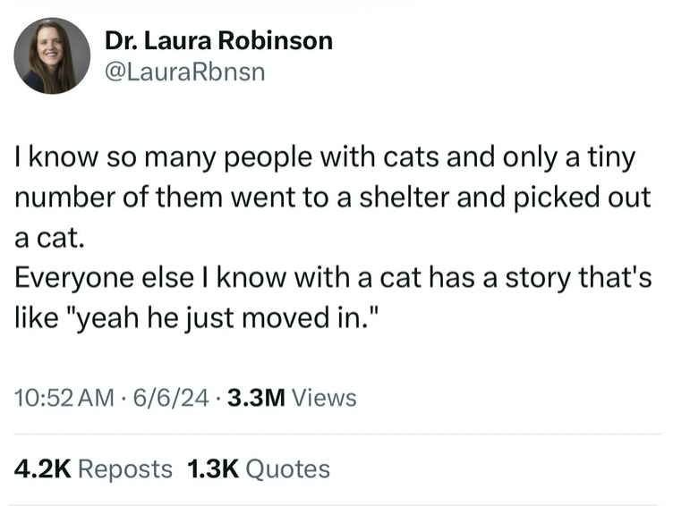screenshot - Dr. Laura Robinson I know so many people with cats and only a tiny number of them went to a shelter and picked out a cat. Everyone else I know with a cat has a story that's "yeah he just moved in." 6624 3.3M Views Reposts Quotes